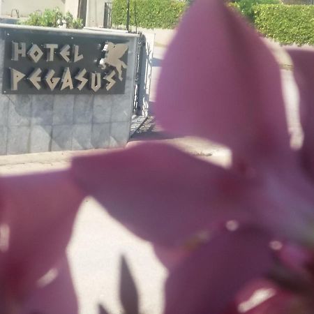 Pegasus Hotel Chaniotis Exterior foto
