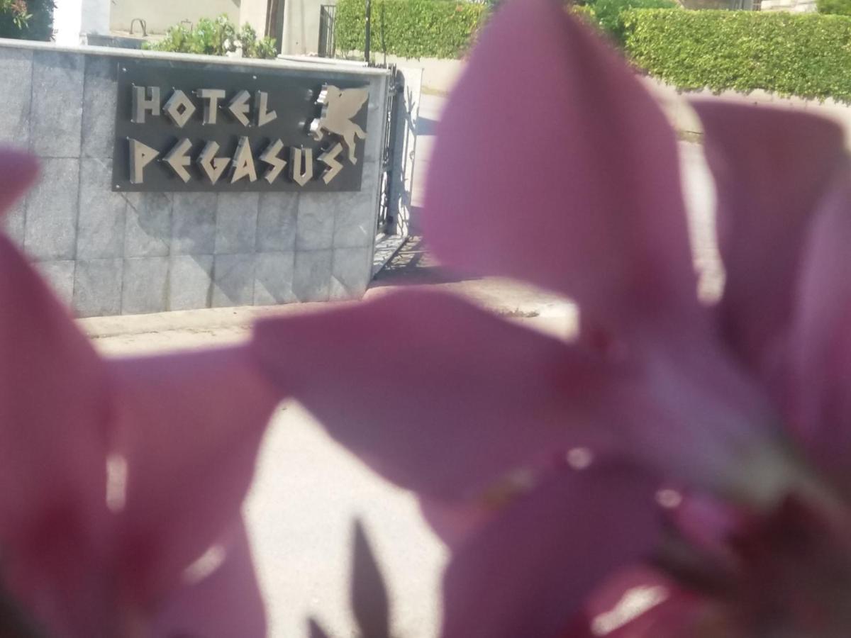 Pegasus Hotel Chaniotis Exterior foto